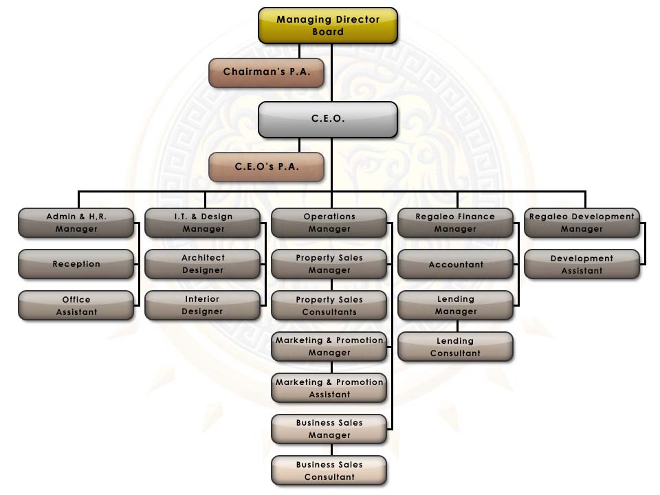 Regaleo Company Structure